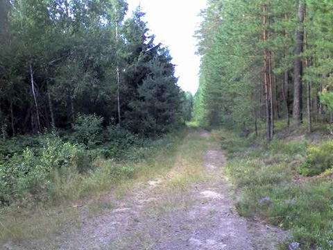 Foto 10